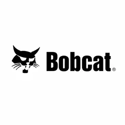 Bobcat